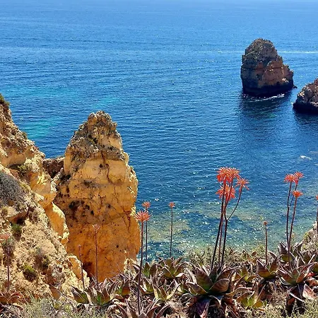 住宿加早餐酒店 Chez Barbara Ohana 拉哥斯