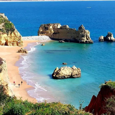 Chez Barbara Ohana *