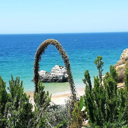 Chez Barbara Ohana 住宿加早餐酒店