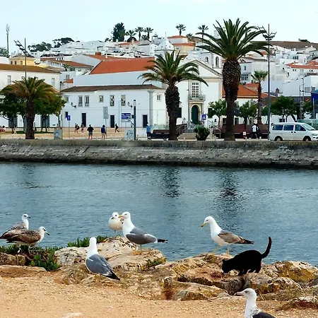 住宿加早餐酒店 Chez Barbara Ohana